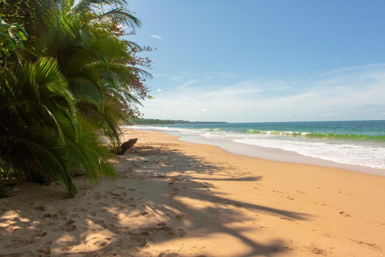 La Coralina Island House Hotel Bocas Town Luaran gambar