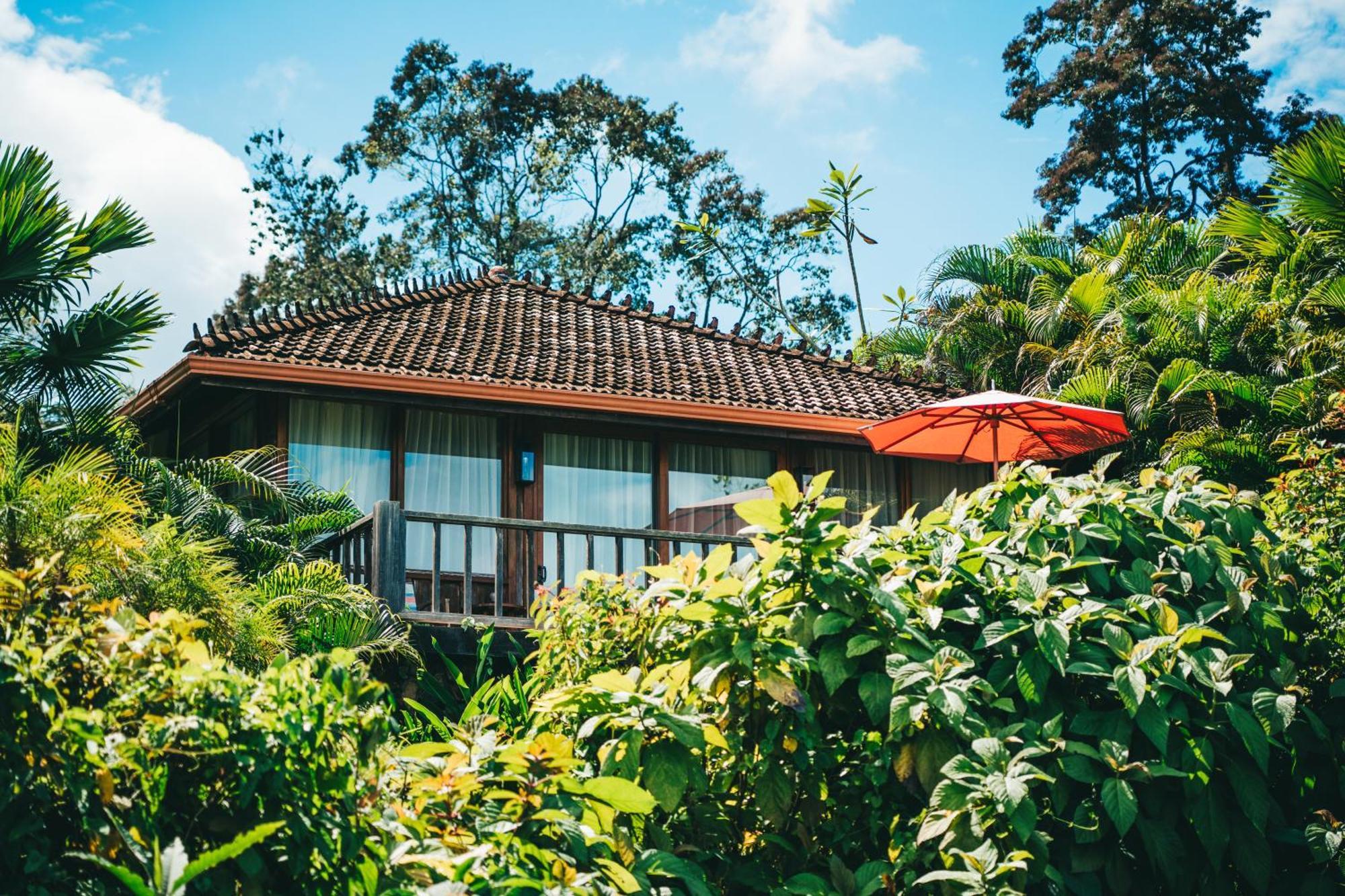 La Coralina Island House Hotel Bocas Town Luaran gambar